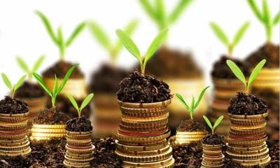 推動產業升級 海南鼓勵農產品加工企業兼并重組優化投資管理